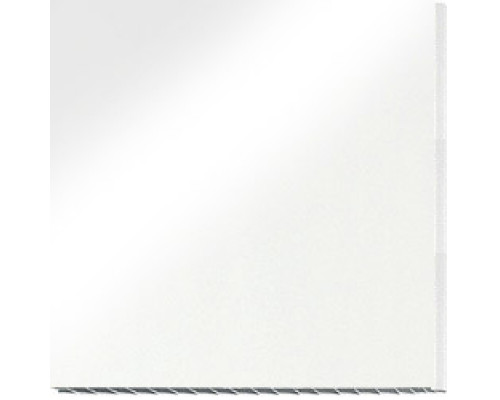 Панель WP ПВХ белая глянцевая 250х3000х8 мм (0,750 кв. м, в уп. 10 шт.)