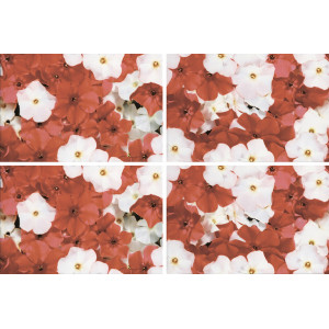 Панно НЗКМ Альба Daisy (400х600мм)