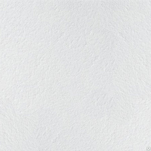 Потолочная панель RETAIL Microlook 600*600*14mm (5,76м2/уп) / арт. BP3065M4