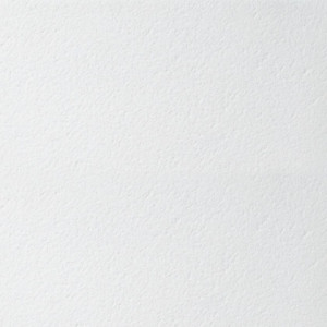Потолочная панель Bioguard Plain Board 600x600x15mm (5,76м2/уп) /арт. BP2221M4