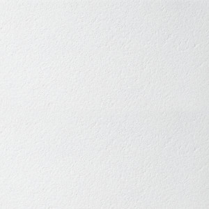 Потолочная панель Bioguard Plain 90RH Board 600x600x12mm (7,2м2/уп) / арт. BP3684M4