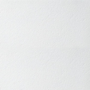 Потолочная панель Plain Tegular 600x600x15mm (5,76м2/уп) / арт. BP9589M4E