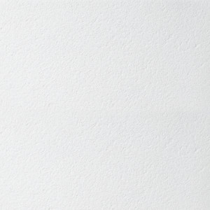 Потолочная панель Bioguard Plain Tegular 600x600x15mm (5,04м2/уп) / арт. BP2223M4A